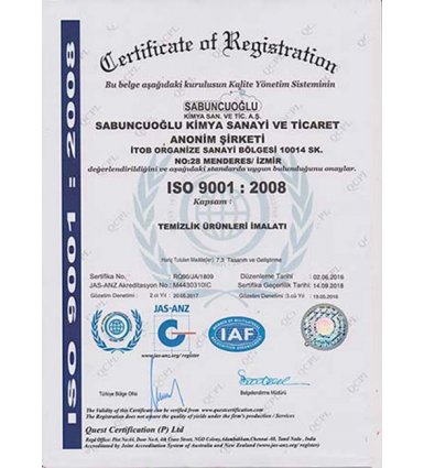 ISO 9001
